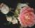 (The rose of Cathedral Soul)